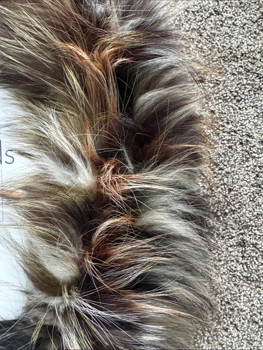 Linda Richards Multicolor Fox Fur Collar - Earth Tone Blend- NWT & Box